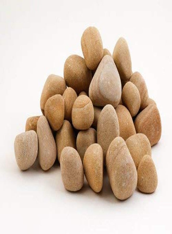 VANNEF Stone Decorative Pure Natural Brown Stones Pebbles for Home & Garden Decoration (Natural Brown, 450gm) - Image 1